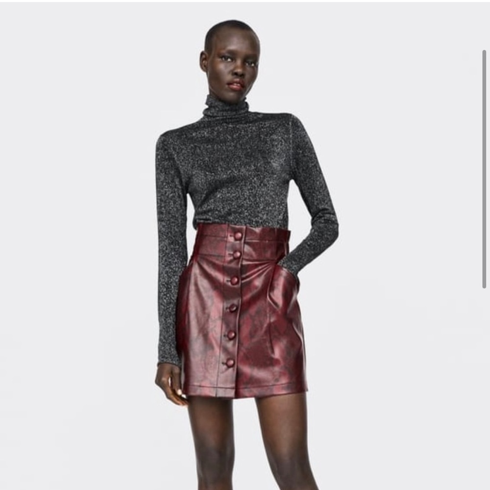 Zara NWT skirt
